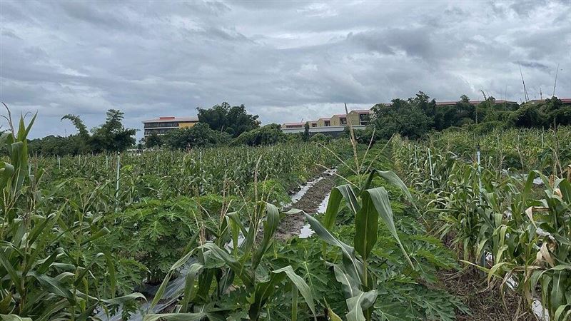 斷電打擊！KK園區遭重挫 詐團無奈砍100員