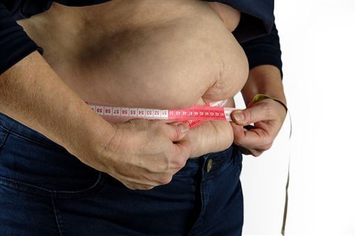 16週甩13kg！女老闆改3習慣 內臟脂肪砍半