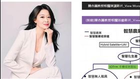 假教授用AI換臉李英愛 論文1雷同竟變她的