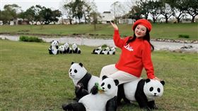 白冰冰在安農溪畔公園與熊貓裝置藝術拍照。（圖／長興影視提供）