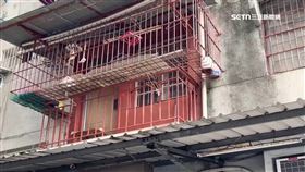 殺人分屍嫌親弟