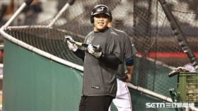 ▲WBC資格賽熱身賽，台灣隊外野手陳子豪賽前打擊練習。（圖／記者劉彥池攝影）