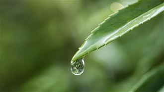 初二「雨水」該吃什麼？禁忌、養生一次看