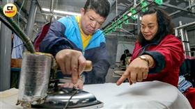 庇護工場危機1／不敵隧道式洗衣超低價攻擊　折翼天使天堂難生存