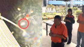 民眾在高雄展覽館後方水域發現疑似屍塊報案，經比對確認是楠梓趙林婦的「肚臍」。