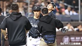▲WBC資格賽熱身賽，台灣隊外野手陳文杰遭到觸身球保送後退場。（圖／記者劉彥池攝影）