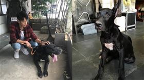 ▲男星柯震東愛犬Max離世，發文感嘆自己就像是芙莉蓮。（圖／Instagram／@kaikaiko）