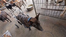 「浪轉一生」為大眾嚴選助糧合作單位