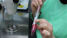 試管嬰兒製程揭秘（1）試管嬰兒之所以稱為「試管」，主要是早期真的是將精子與卵子放在試管中培養成受精卵，但隨科技進步，如今幾乎都改用培養皿，整個過程都得在無菌實驗室中完成，一刻都疏忽不得。中央社記者張茗喧攝  108年10月12日