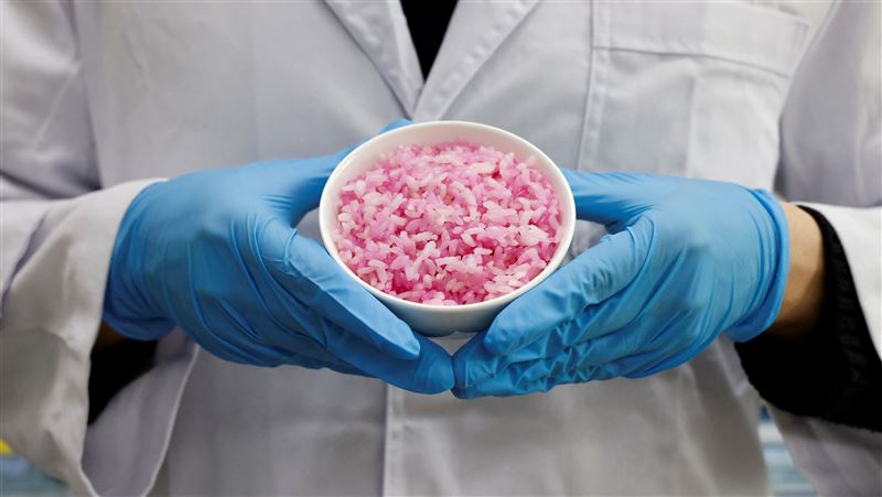 韓國研發創新食品牛肉米　營養又減碳