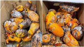 日春木瓜牛奶 圖／爆料公社二社、日春木瓜牛奶台灣總部臉書