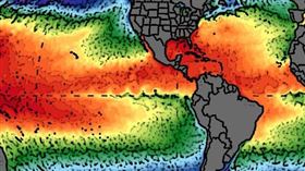 ▲ 2025年1月成為史上最熱的1月，全球暖化趨勢已超越自然氣候變化，科學家警告極端氣候將持續惡化，減碳行動刻不容緩。（圖／永續新聞網提供） 