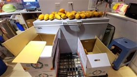 日春,機場,衛生局,發霉（圖／桃園市衛生局提供）
