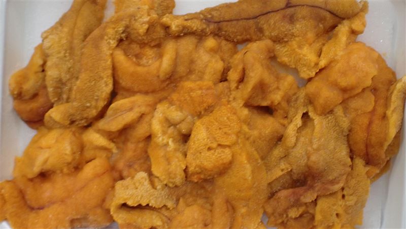 SUKIYA母公司智利進「冷凍海膽 」鎘超標