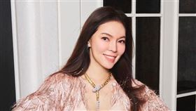 曾馨瑩為胡瓜捐百萬。（圖／翻攝IG）