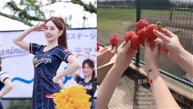 樂天石垣島(圖/樂天桃猿提供)