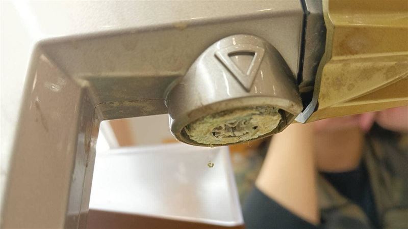 台壽司店出水口見綠水垢！他去日本看呆了