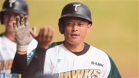 台鋼雄鷹顏郁軒敲出兩分砲。（圖／台鋼雄鷹提供）