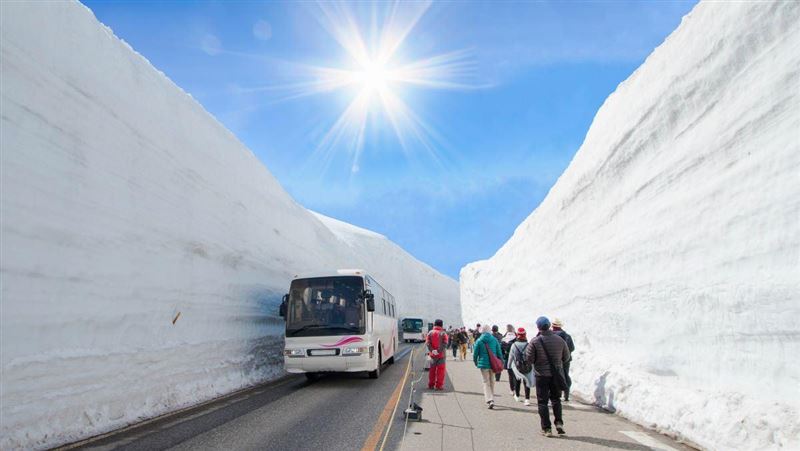 立山黑部4/15開山　賞雪、賞花最佳時機曝