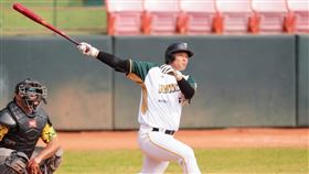 台鋼雄鷹顏郁軒開轟2分砲。（圖／台鋼雄鷹提供）