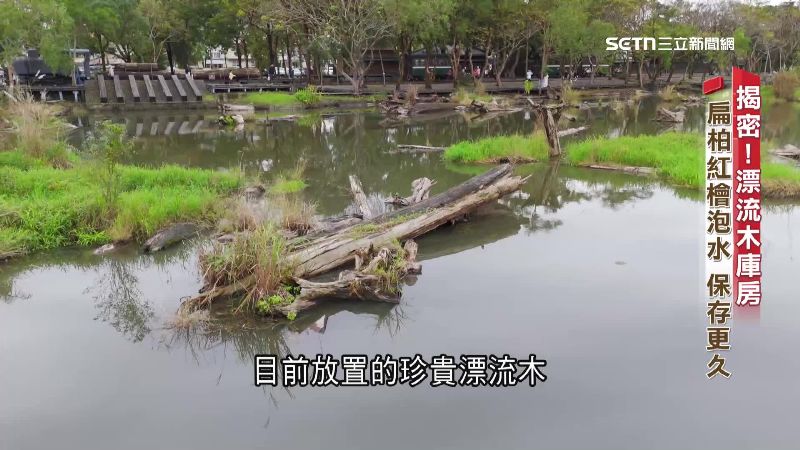 文 揭密漂流木1900