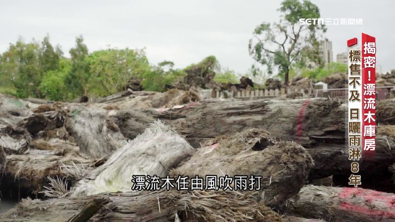 珍貴漂流木竟靠淋雨保存　揭密戶外怎防竊