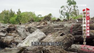 珍貴漂流木竟靠淋雨保存　揭密戶外怎防竊
