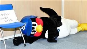 日本職棒,養樂多,吉祥物,燕九郎,つば九郎,操偶師,過世（圖／養樂多Ｘ）