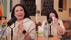 （圖／翻攝自范琪斐的美國時間YouTube）