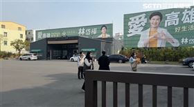 高雄,林岱樺,高雄市長,初選,立委,民進黨,搜索