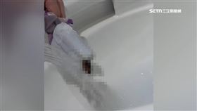 糕餅老店出包！芋頭冰棒一咬驚現「蟑螂頭」　情侶嚇壞吐出腳