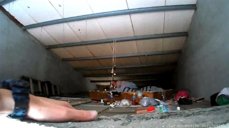 父子當賊偷遍農村　蝸居天花板輕鋼架躲警