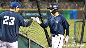 ▲WBC資格賽，台灣隊內野手曾子祐和打擊教練彭政閔（左）擊掌。（圖／記者劉彥池攝影）