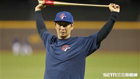 ▲WBC資格賽，台灣隊首席教練高志綱。（圖／記者劉彥池攝影）