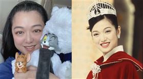 港星李珊珊在1996年奪下香港小姐冠軍。（圖／翻攝自微博、臉書）