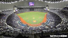 ▲WBC資格賽對西班牙，臺北大巨蛋湧進35325位球迷。（圖／記者劉彥池攝影）