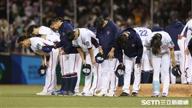 ▲WBC資格賽台灣5：12不敵西班牙。（圖／記者劉彥池攝影）