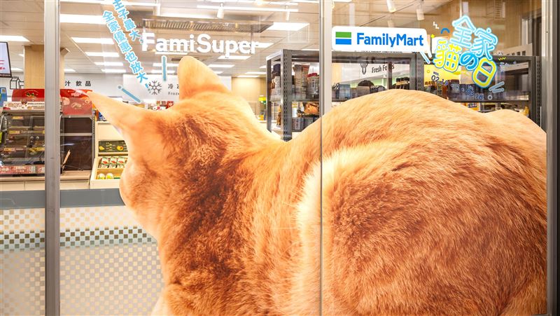 貓之日「胖橘」入侵！3大超商貓罐優惠