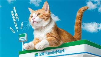 家貓數超過新生兒　新北打造首座貓咪樂園