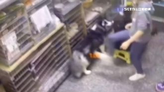 獨／愛犬寄宿　竟被店員「連踹2腳」！