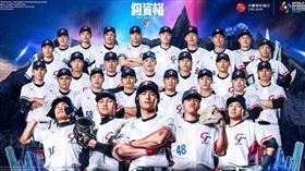 經典賽、12強哪個台灣隊較強？球迷揭關鍵