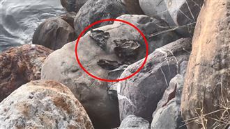 新／上浮申冤？前鎮河打撈可疑垃圾袋