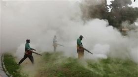 監察委員紀惠容指出，高雄市府以緊急防治為由，調整環境用藥稀釋倍數，有用量超標之虞。（圖／高雄市衛生局提供）