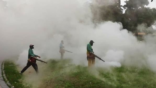 登革熱藥劑超標噴灑　監院籲請高市府檢討