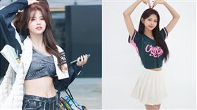 野生全恩菲現蹤台北大巨蛋被捕獲。