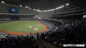 ▲WBC資格賽，台灣隊確定打25日的賽事爭取第2名。（圖／記者劉彥池攝影）