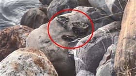 有釣客今天（23日）下午在前鎮運河金鞏橋附近發現1包黑色垃圾袋，裡面疑似有不明骨頭。（ 圖／翻攝畫面）