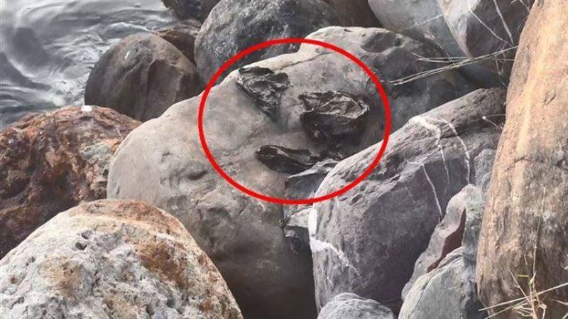 分屍案新進展？前鎮河驚見黑垃圾袋裝骨頭