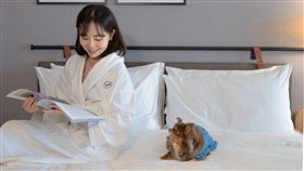 圖1、嘉義福容voco酒店-嘉義福容 voco 酒店推出「毛孩同行」專案，讓主人和毛小孩出遊免_0