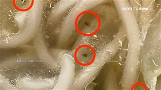 高雄知名麵館湯內驚見多隻果蠅　緊急店休